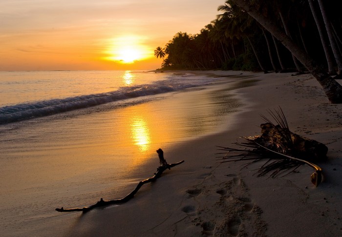 Sunset over a tropical beach with palm trees