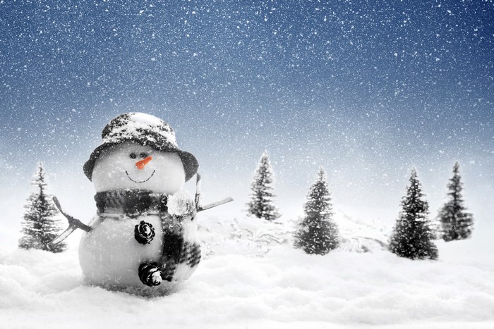 Snowman in a Winter Landscape with Snowflakes