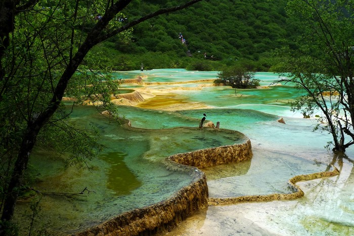 Terraced pools and lush green hills in Jiuzhaigou National Park, China