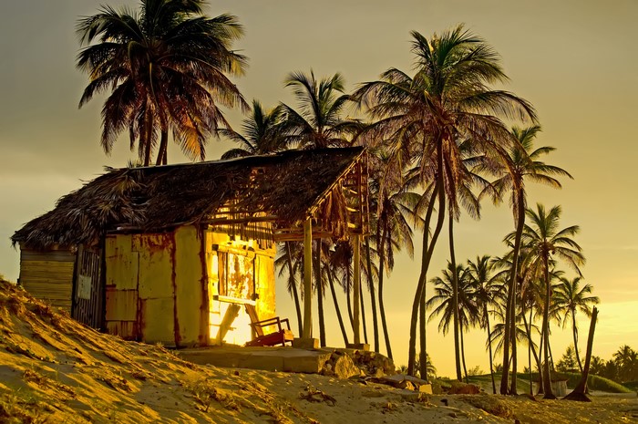Beach hut with palm trees at sunset
