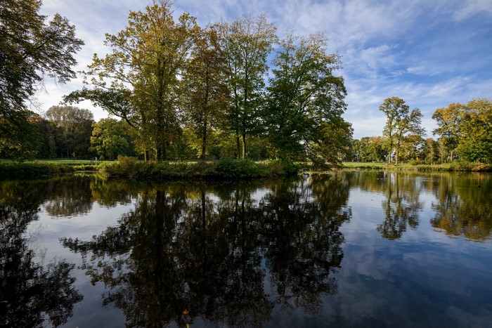 Park pond with trees and reflections