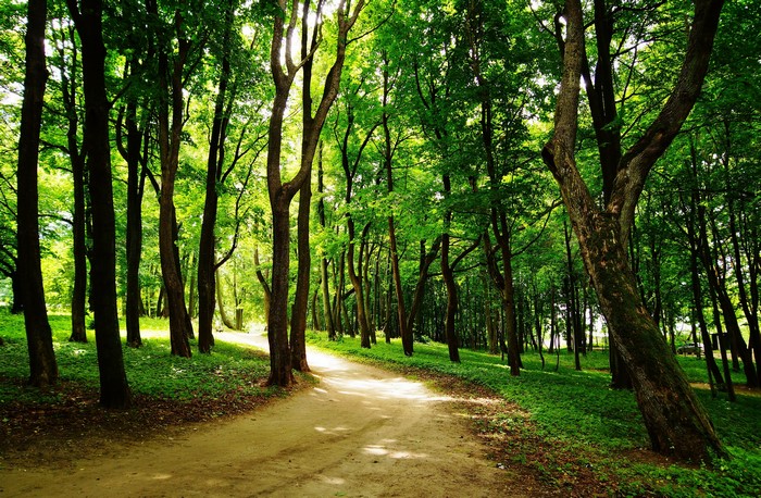 Park Avenue in Yantarny, Kaliningrad Oblast, Russia