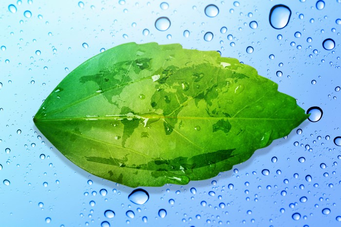 Green leaf with world map and water drops