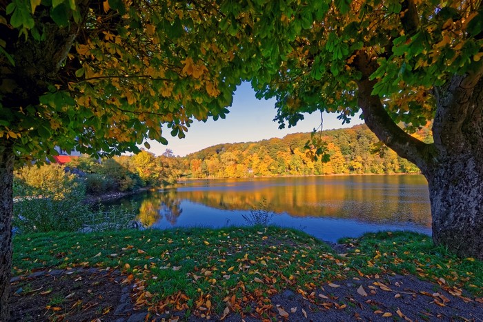 Autumn lake scenery with trees in Germany