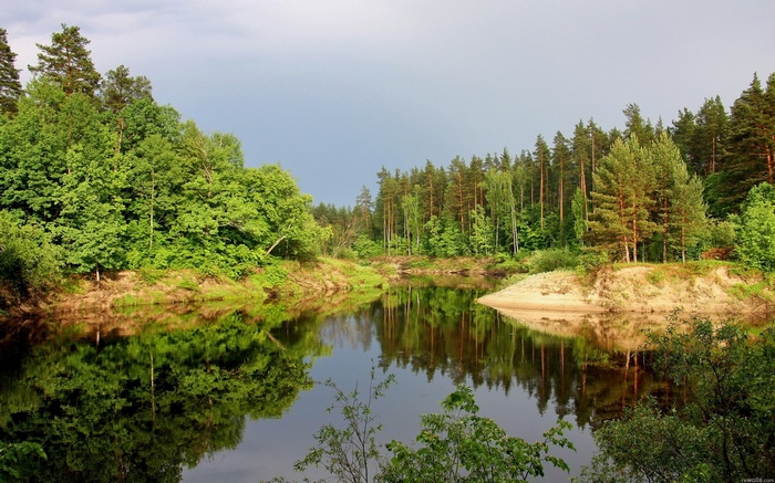 River flowing through a forest with reflections