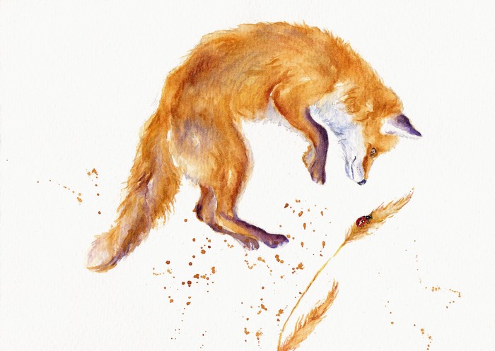 Watercolor painting of a fox and a ladybug
