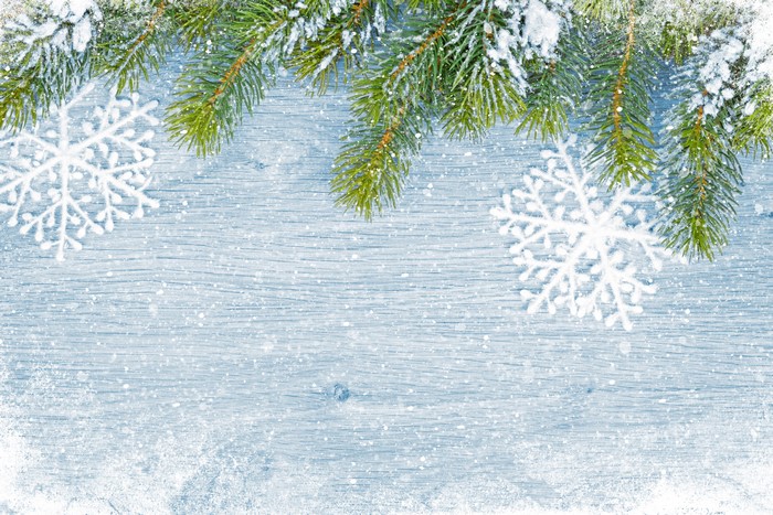Christmas decoration with snowflakes and fir branches