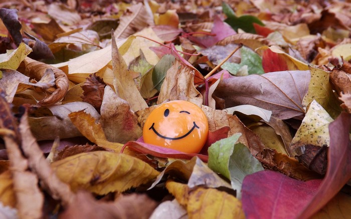 Smiley face among autumn leaves