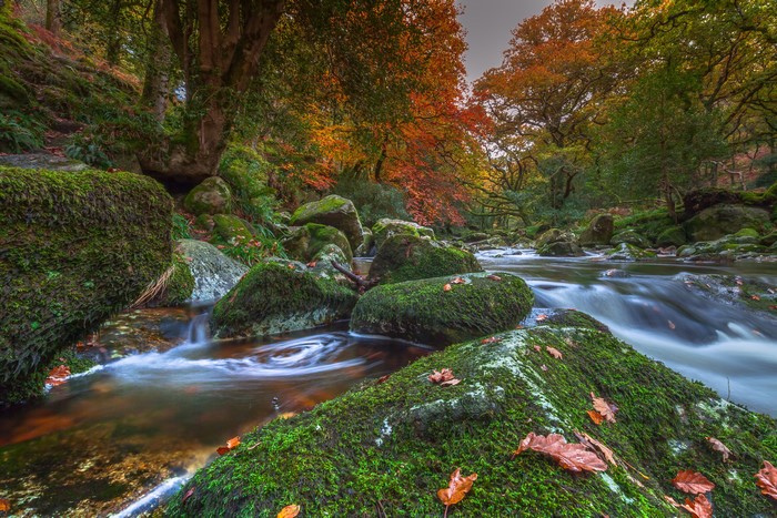 4K Dartmoor National Park Autumn River with Mossy Stones