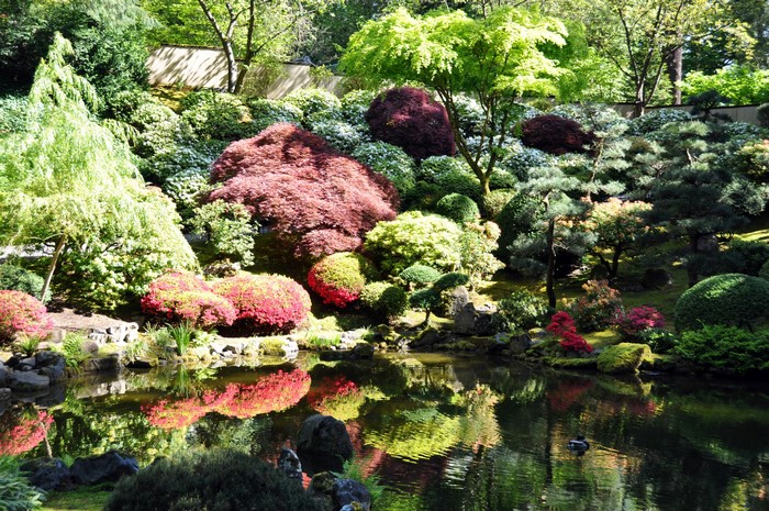 Portland Japanese Garden with pond and colorful trees