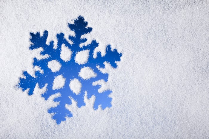 Snowflake in Snow