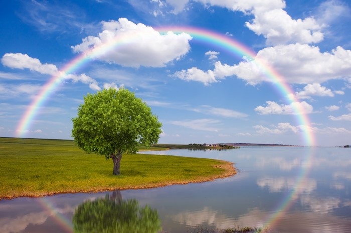 Rainbow over a lake with a tree and clouds