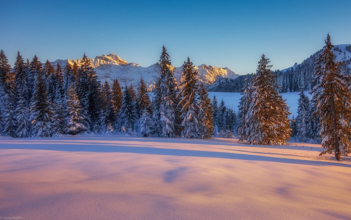 Snowy forest with mountains at sunrise