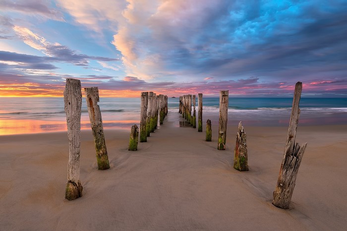 Old wooden posts on a beach at sunset