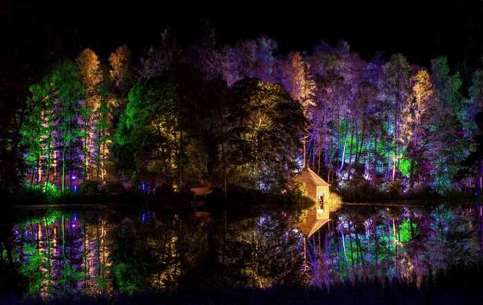 Trees lit with colorful lights reflected in water at night