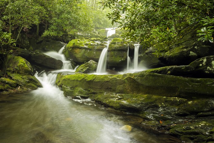 Lynn Camp Falls USA Waterfalls Stones Moss