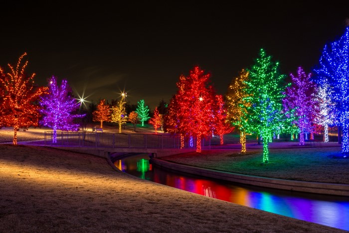 Trees decorated with colorful fairy lights at night