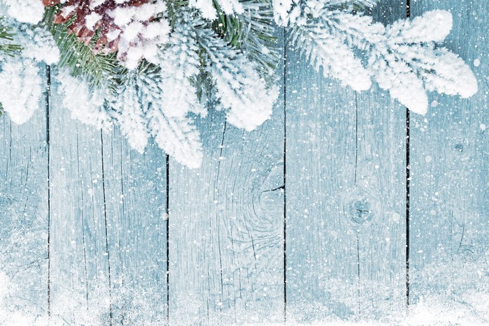 Winter Pine Branches with Snow on Wood Planks