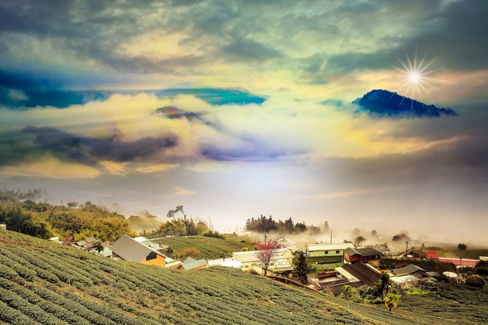 Tea fields and village in the mountains with clouds