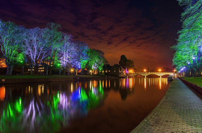 Trees lit with colorful lights along a river at night