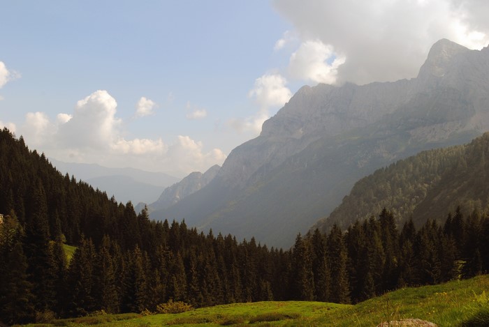 4K Mountains and Forests Scenery