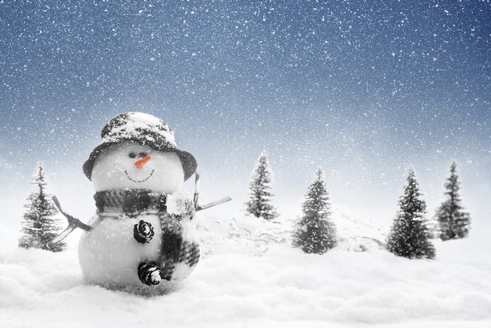 Snowman in a snowy landscape with pine trees