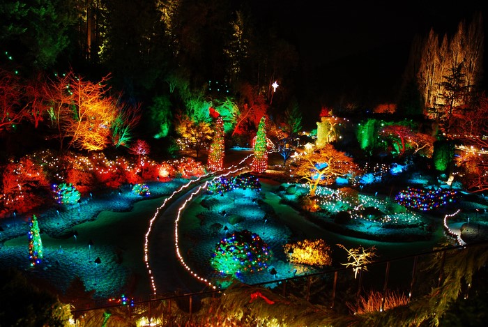 Butchart Gardens Christmas lights at night
