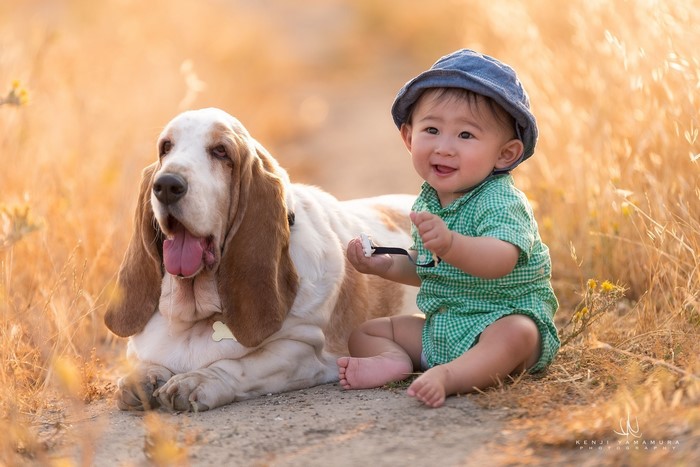 Baby and Basset Hound in Field