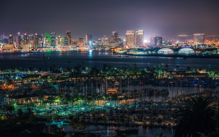San Diego skyline and marina at night