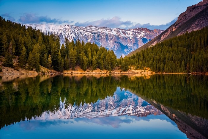 Lake reflection of snow-capped mountains and pine forest