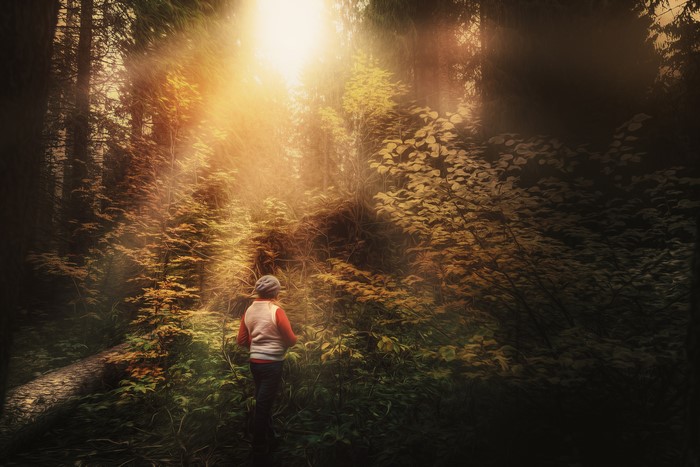 Person walking on a path in a sunlit forest