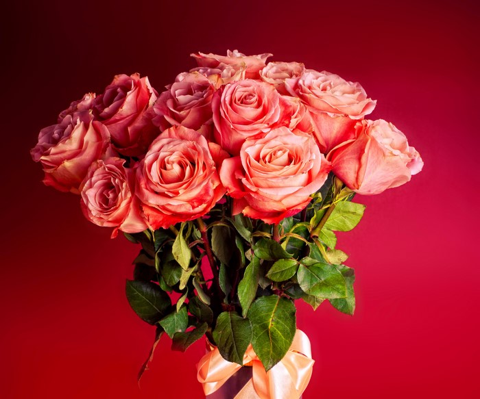 Bouquet of Pink Roses