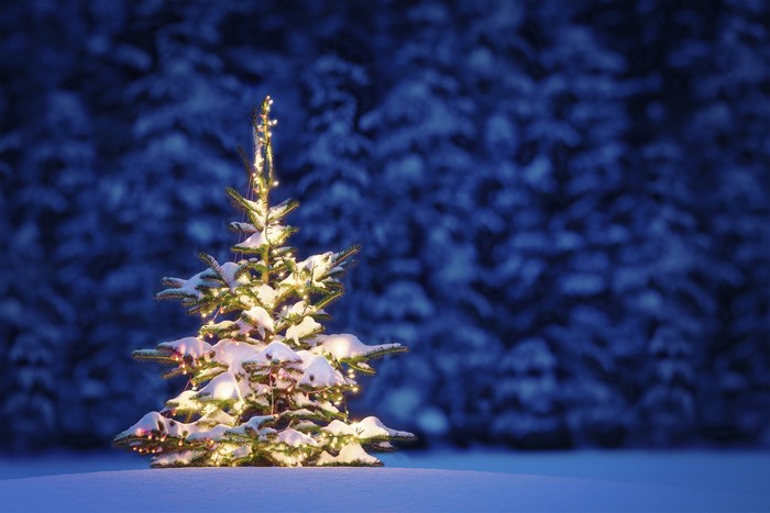 Christmas tree with lights in snow at night