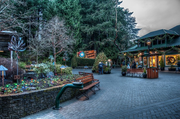 Butchart Gardens decorated for Christmas with fairy lights