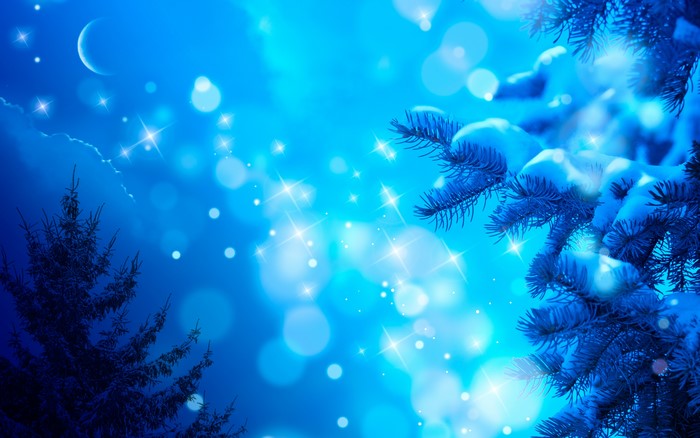 Winter Night with Moon and Snow-Covered Spruce Branches