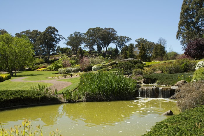 Cowra Japanese Garden Waterfall and Pond