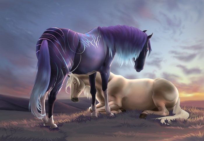 Two horses in a field at sunset