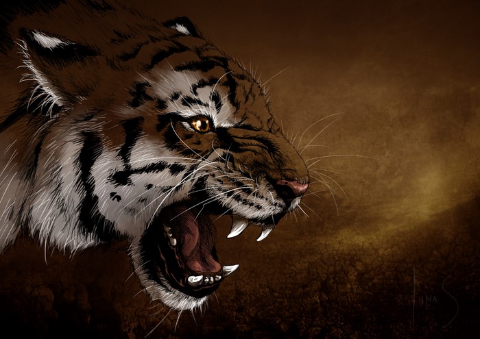 Tiger roaring with bared teeth