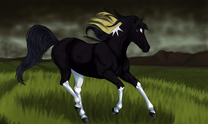 Black horse running in a field