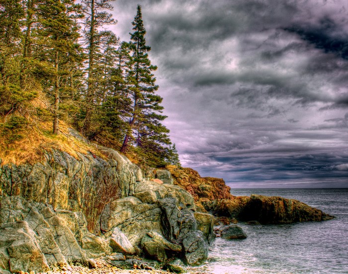 Rocky coastline with spruce trees under a cloudy sky