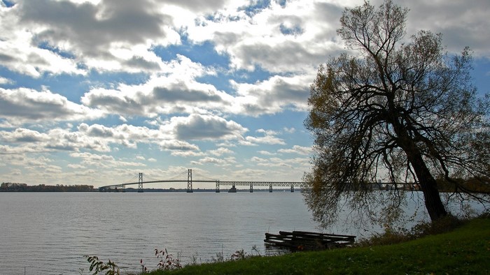 Bridge over a wide river with a large tree in the foreground