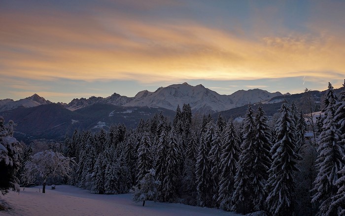 Snowy Mont Blanc mountains at sunset with pine forest