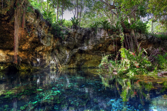 Jungle Cenote with Clear Water