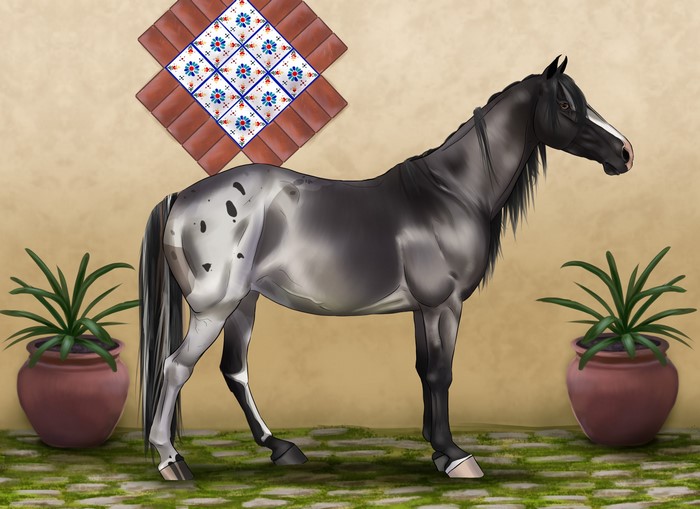 Appaloosa horse standing in front of a tiled wall