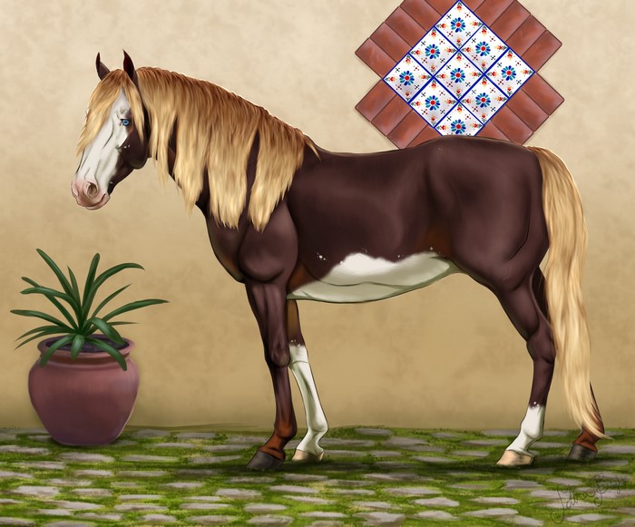 Brown and white horse with blonde mane and tail