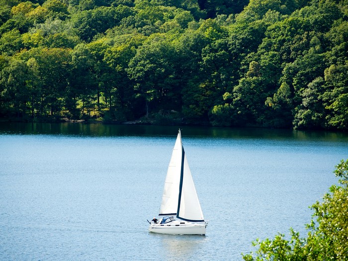 Sailboat on a lake with a forest background