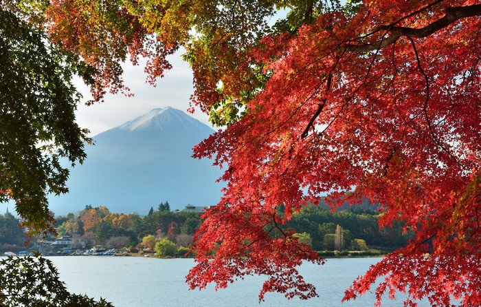 Mount Fuji and autumn leaves over a lake in Japan