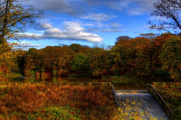 Autumn Trees and Waterfall in a Park