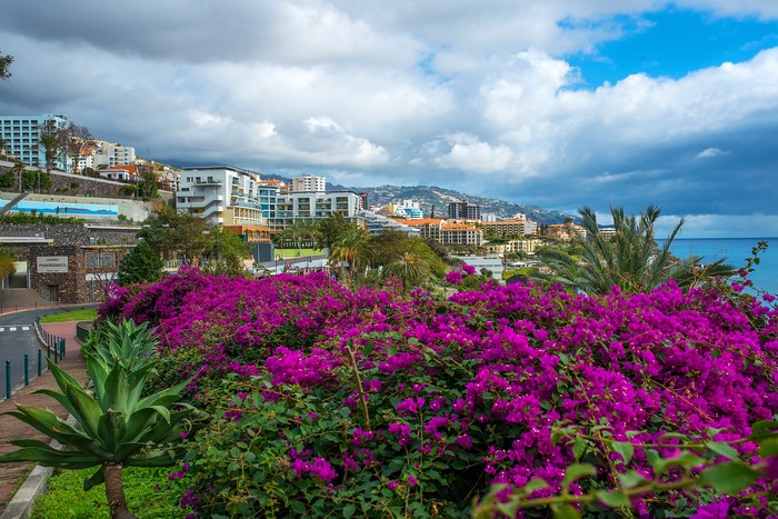 Funchal, Madeira Island, Portugal with Bougainvillea