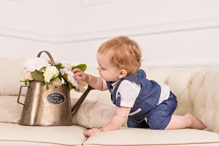Baby boy in blue outfit reaching for flowers in watering can on sofa